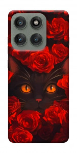 Чохол Rose cat для Motorola Edge 60 Pro