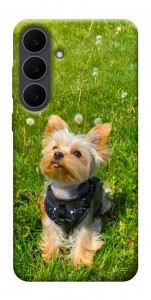 Чехол Йорк в траве для Galaxy S25 FE