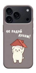 Чохол Не падай дахом для iPhone 17 Pro