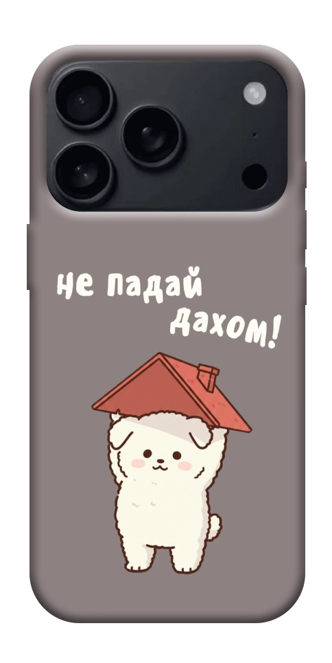 Чохол Не падай дахом для iPhone 17 Pro Max
