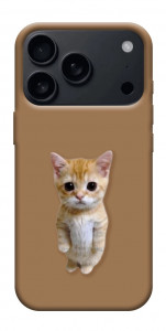 Чохол Kitty standing для iPhone 17 Pro Max
