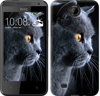 

Чохол Гарний кіт на HTC Desire 300 116945
