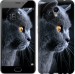 Чехол Красивый кот для Meizu M5 Note