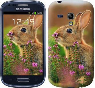 

Чохол Кролик і квіти на Samsung Galaxy S3 mini 149856