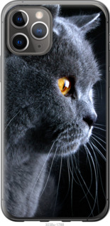 

Чехол Красивый кот для iPhone 11 Pro 776205