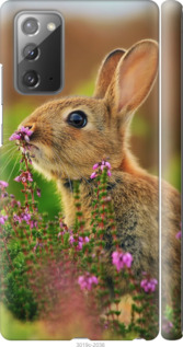 

Чехол Кролик и цветы для Samsung Galaxy Note 20 1060477