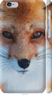 Чехол Рыжая лисица для iPhone 6