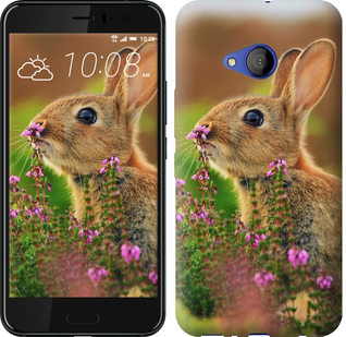 

Чохол Кролик і квіти на HTC U11 Life 656652