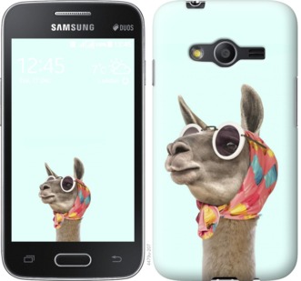 

Чохол Модна лама на Samsung Galaxy Ace 4 G313 753044