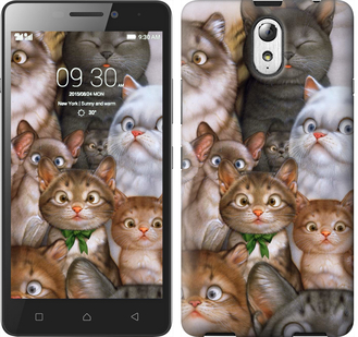 

Чохол коти на Lenovo Vibe P1m 476453