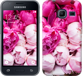 

Чехол Розовые пионы для Samsung Galaxy J1 Mini J105H 226934