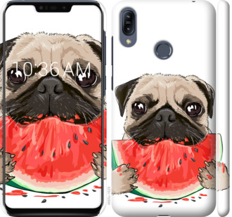 

Чехол Мопс и арбуз для Asus Zenfone Max M2 ZB633KL 843959