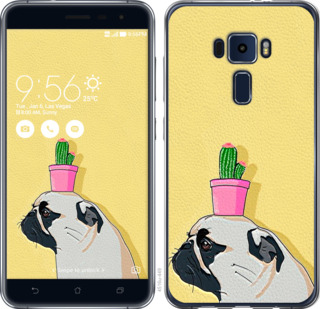 

Чехол Мопс с кактусом для Asus Zenfone 3 ZE520KL 795881