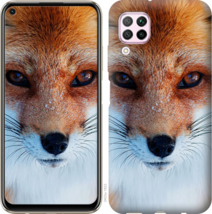 

Чехол Рыжая лисица для Huawei Nova 6SE 879152