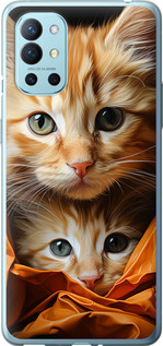 Чехол Котики 2 для OnePlus 9R