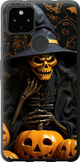 

Чехол Halloween 2 для Google Pixel 5A 1640016