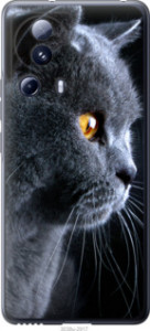 Чехол Красивый кот для Xiaomi Civi 2