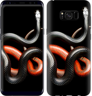 

Чохол Червоно-чорна змія на чорному тлі на Samsung Galaxy S8 Plus 481941