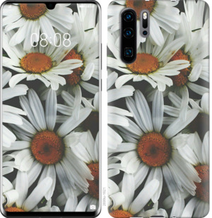 

Чехол Ромашки v2 для Oppo Reno 3 916710
