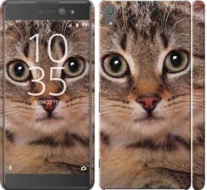 Чехол Полосатый котик для Sony Xperia XA Ultra Dual F3212