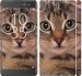 Чехол Полосатый котик для Sony Xperia XA Ultra Dual F3212