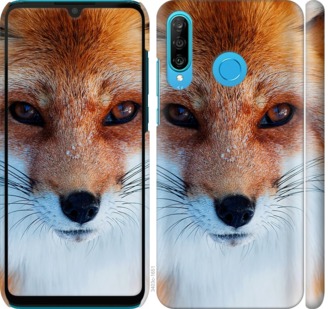 

Чохол Руда лисиця на Huawei P30 Lite 703665