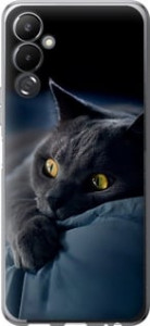 Чохол Димчастий кіт на Tecno Pova 4 LG7n