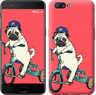

Чехол Мопс на велосипеде для OnePlus 5 642880