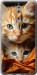 Чехол Котики 2 для Nokia 8