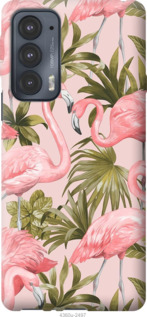

Чехол фламинго 2 для Motorola Edge 20 1231170