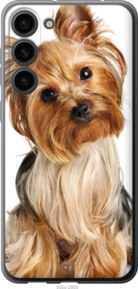 Чохол Йоркширський тер'єр з хвостиком на Samsung Galaxy S23 Plus