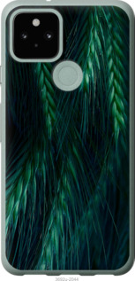 

Чехол Колоски для Google Pixel 5 1580191