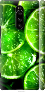 Чехол Зелёные дольки лимона для Sony Xperia XZ4