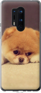 

Чохол Boo 2 на OnePlus 8 Pro 1571500