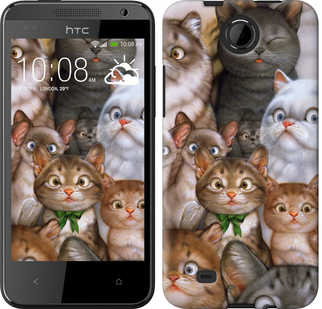 

Чохол коти на HTC Desire 300 476393