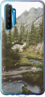 Чехол Природа для Realme XT