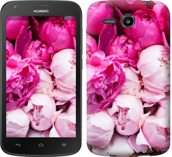 

Чохол Рожеві півонії на Huawei Ascend Y600 227189