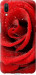 Чехол Красная роза для Meizu E3