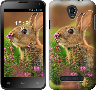 

Чохол Кролик і квіти на Fly IQ4415 150180
