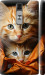Чохол Котики 2 на LG G4c H522y