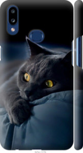 Чехол Дымчатый кот для Samsung Galaxy A10s A107F