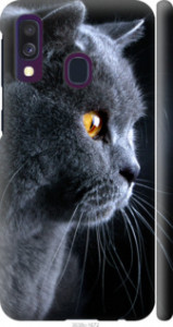 Чехол Красивый кот для Samsung Galaxy A40 2019 A405F