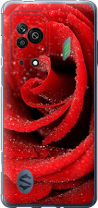 Чехол Красная роза для Xiaomi Black Shark 5