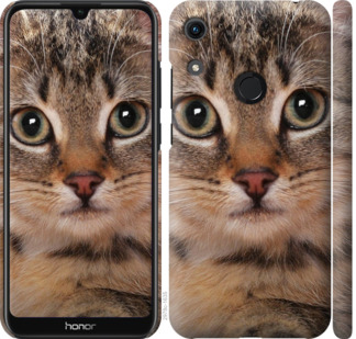 

Чехол Полосатый котик для Huawei Y6s 902540