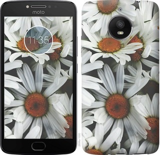 

Чехол Ромашки v2 для Motorola Moto G7 Power 705521