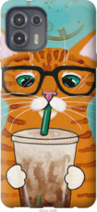 Чохол Зеленоокий кіт в окулярах на Motorola Edge 20 Lite
