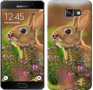 

Чехол Кролик и цветы для Samsung Galaxy A8 (2016) A810 468444