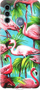

Чехол Tropical background для Motorola G60 1230857