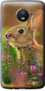 Чехол Кролик и цветы для Motorola Moto E4