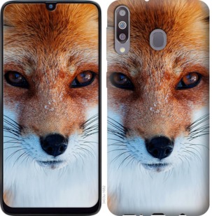 

Чохол Руда лисиця на Samsung Galaxy M30 764013
